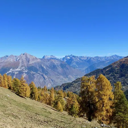Spacious With Balcony * Nendaz